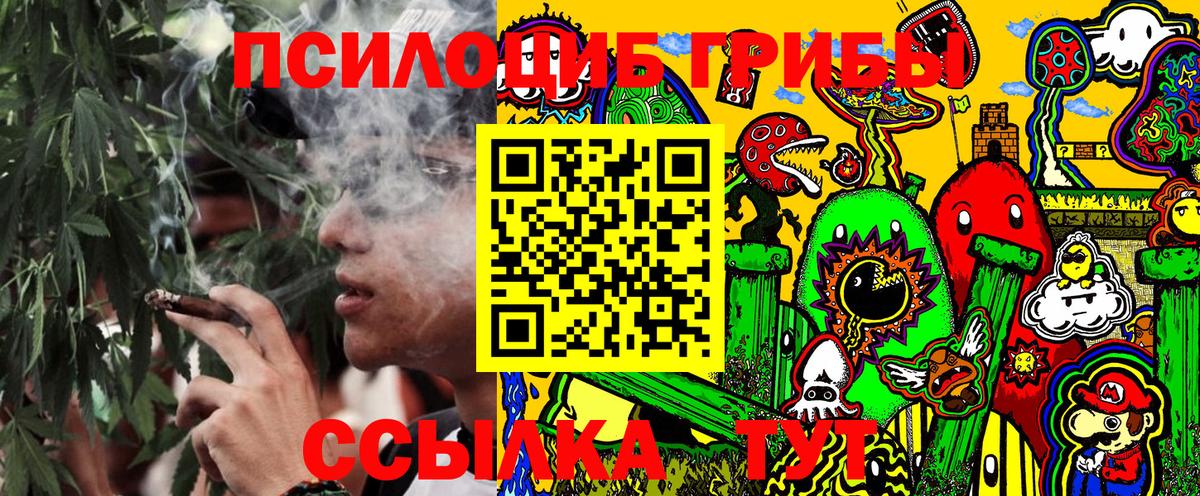 Назрань  Галлюциногенные грибы Psilocybe  сколько стоит  Вход с VPN  Галлюциногенные грибы Psilocybe 