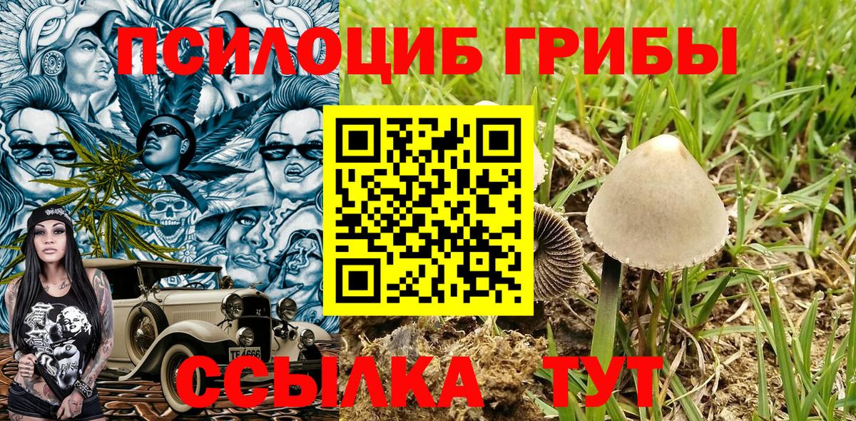 Псилоцибиновые грибы MAGIC MUSHROOMS Назрань